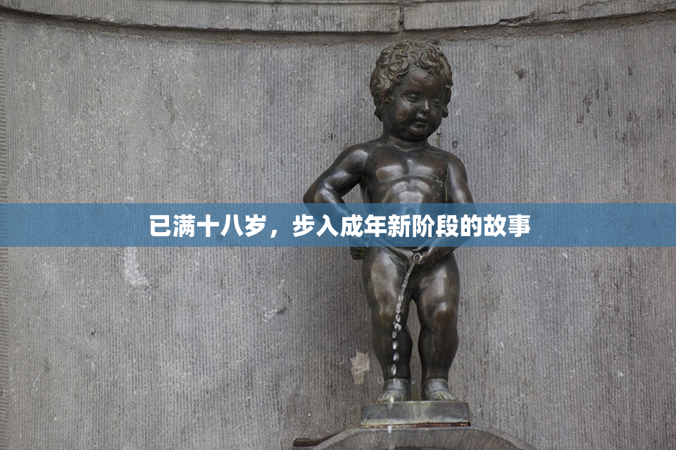 已满十八岁，步入成年新阶段的故事