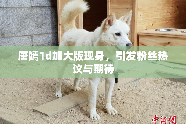 唐嫣1d加大版现身，引发粉丝热议与期待