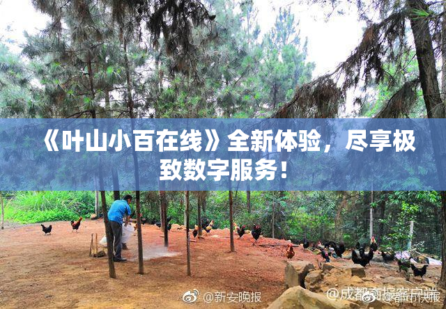 《叶山小百在线》全新体验，尽享极致数字服务！