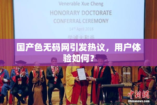 国产色无码网引发热议，用户体验如何？