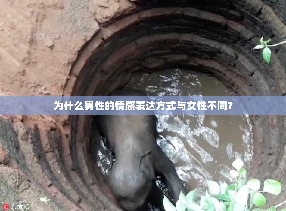 为什么男性的情感表达方式与女性不同？