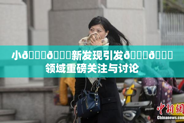 小🐔🐔新发现引发🍑🔞领域重磅关注与讨论