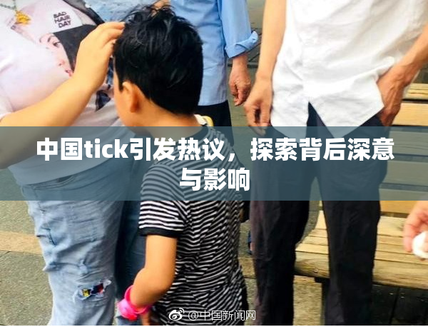 中国tick引发热议，探索背后深意与影响