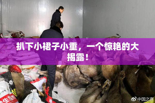 扒下小裙子小重，一个惊艳的大揭露！