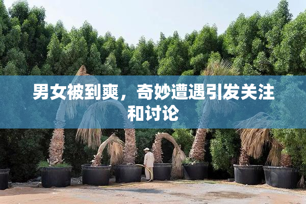 男女被到爽，奇妙遭遇引发关注和讨论