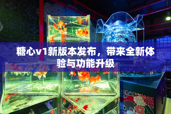 糖心v1新版本发布，带来全新体验与功能升级
