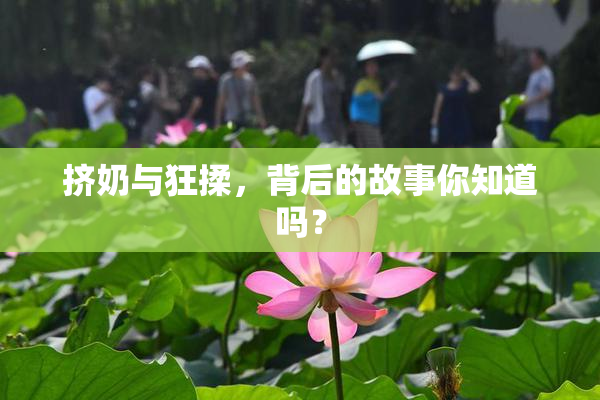 挤奶与狂揉，背后的故事你知道吗？