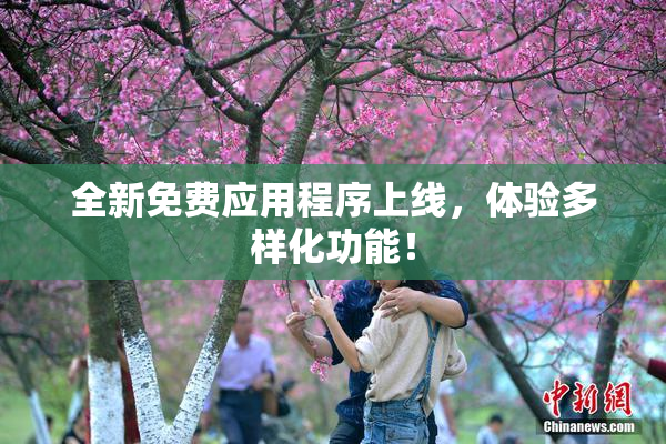 全新免费应用程序上线，体验多样化功能！