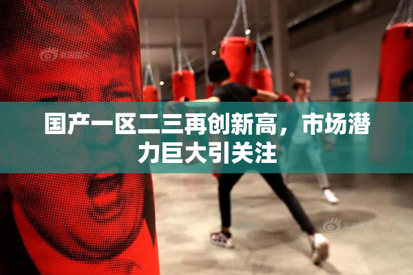 国产一区二三再创新高，市场潜力巨大引关注