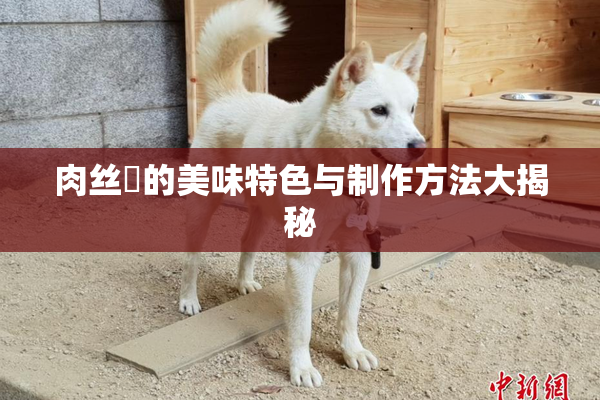 肉丝祙的美味特色与制作方法大揭秘