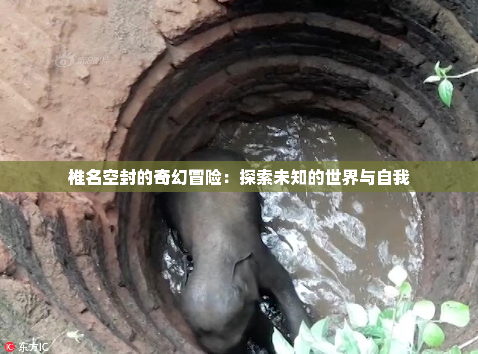 椎名空封的奇幻冒险：探索未知的世界与自我