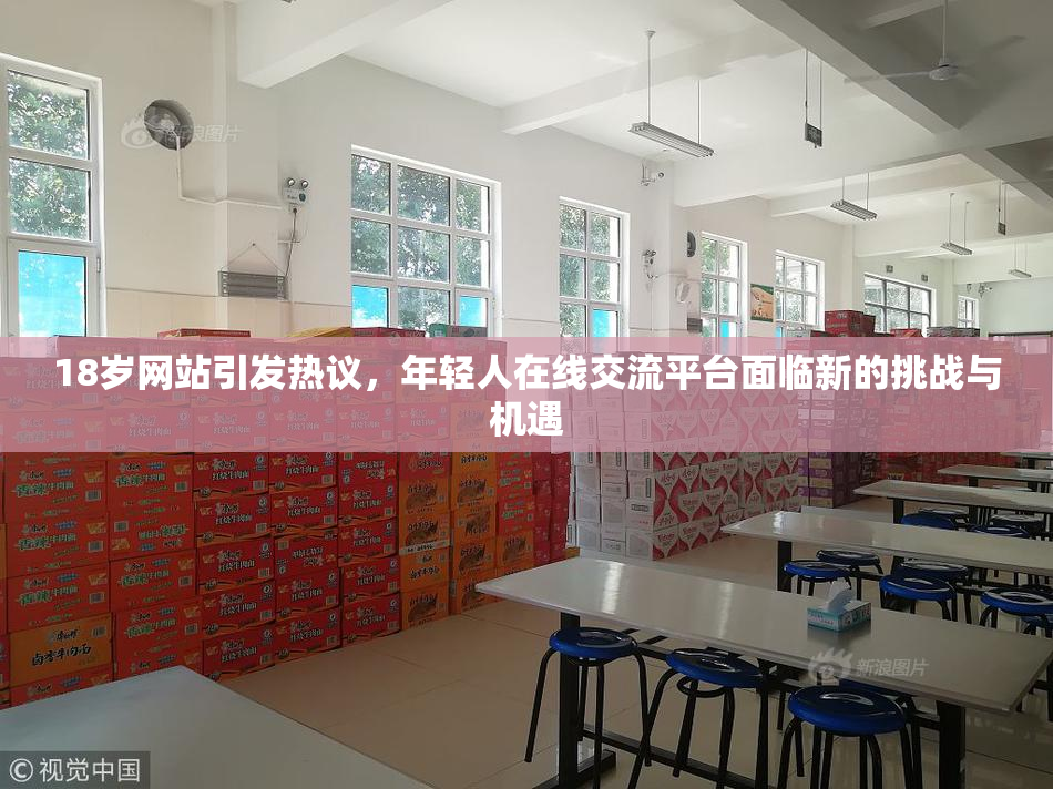 18岁网站引发热议，年轻人在线交流平台面临新的挑战与机遇