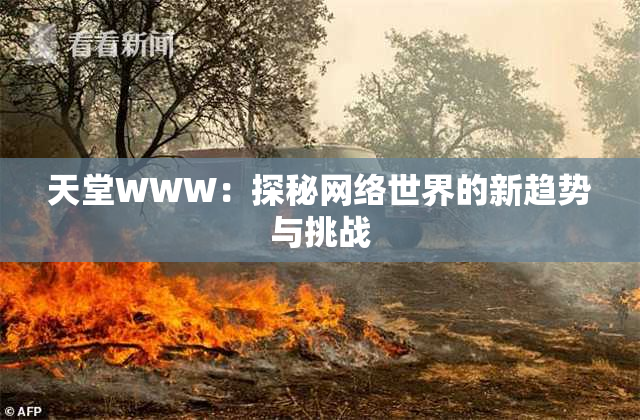 天堂WWW：探秘网络世界的新趋势与挑战