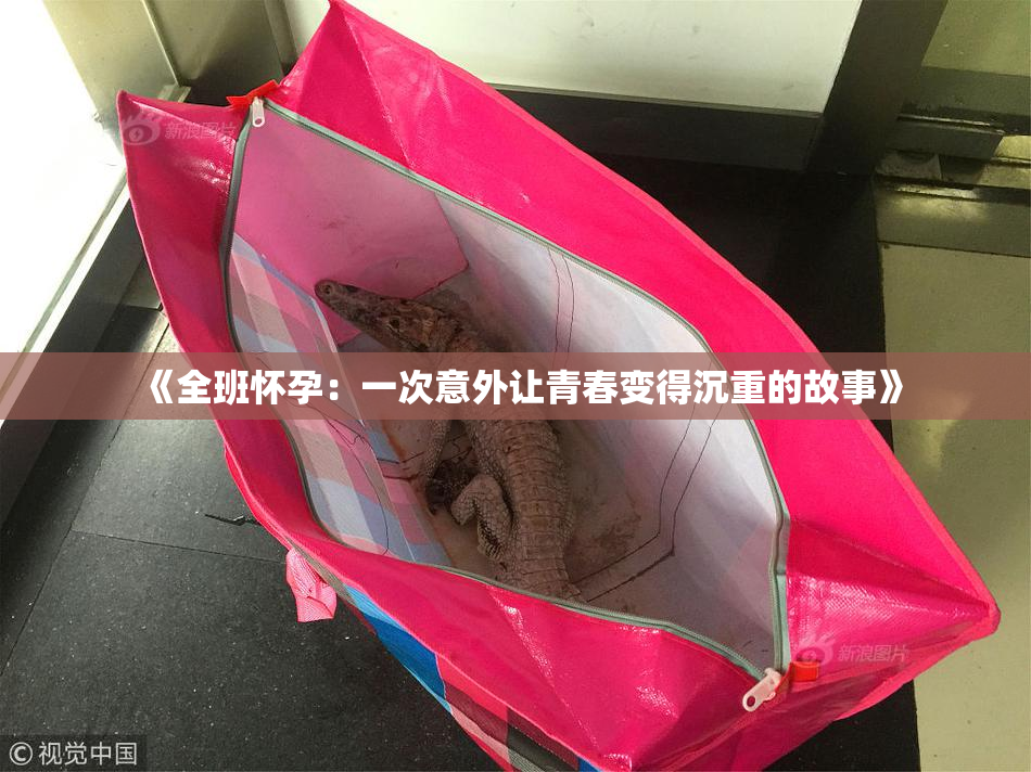 《全班怀孕：一次意外让青春变得沉重的故事》