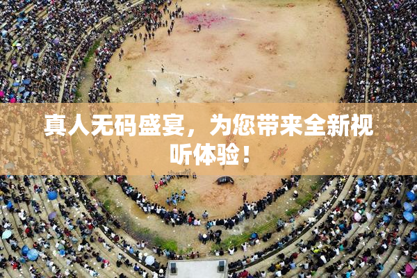 真人无码盛宴，为您带来全新视听体验！