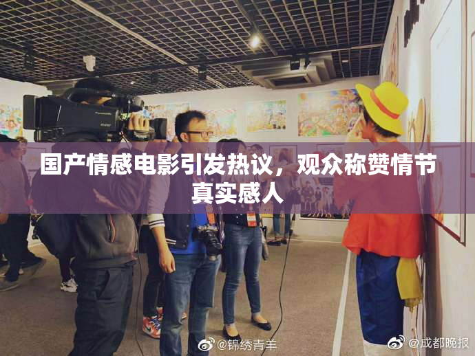 国产情感电影引发热议，观众称赞情节真实感人