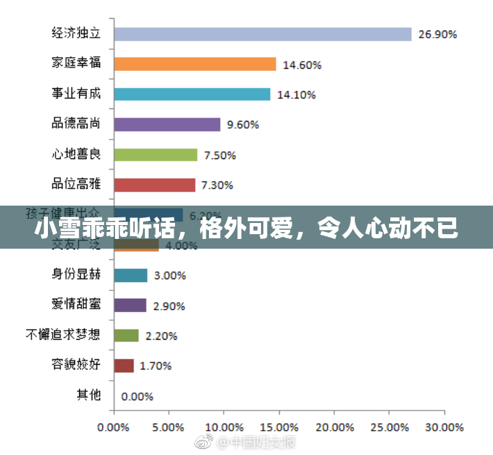 小雪乖乖听话，格外可爱，令人心动不已