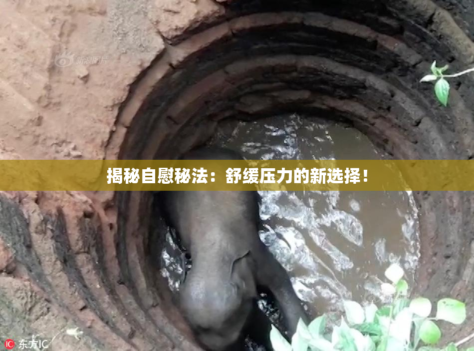 揭秘自慰秘法：舒缓压力的新选择！