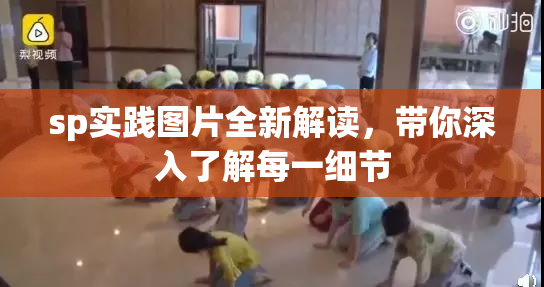 sp实践图片全新解读，带你深入了解每一细节