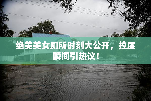 绝美美女厕所时刻大公开，拉屎瞬间引热议！