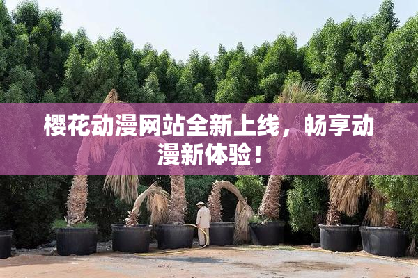 樱花动漫网站全新上线，畅享动漫新体验！
