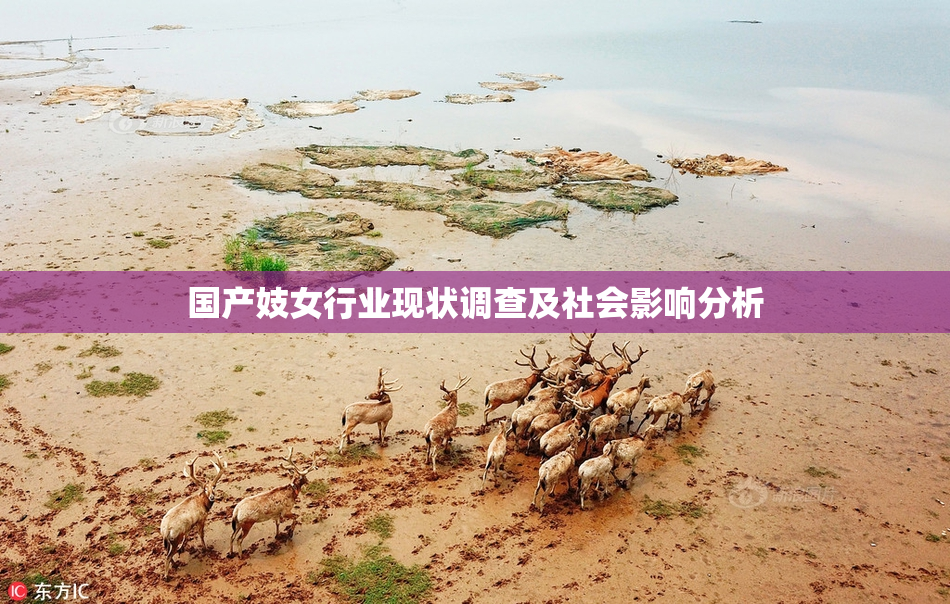 国产妓女行业现状调查及社会影响分析