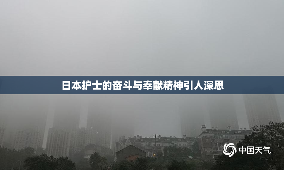 日本护士的奋斗与奉献精神引人深思
