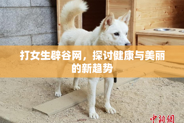 打女生辟谷网，探讨健康与美丽的新趋势