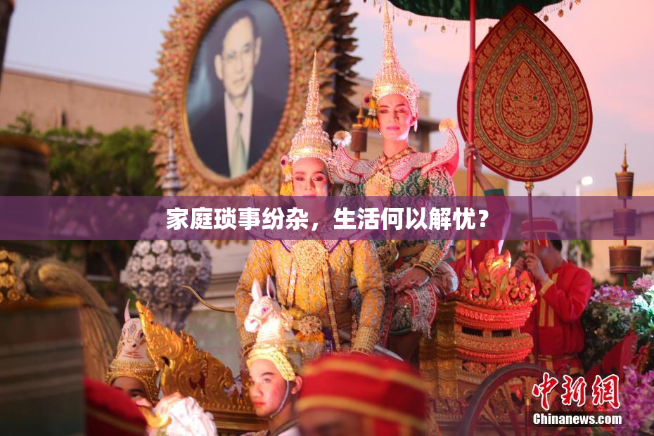 家庭琐事纷杂，生活何以解忧？