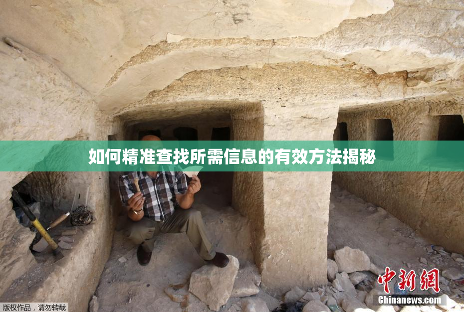 如何精准查找所需信息的有效方法揭秘