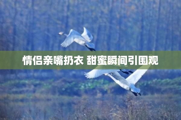 情侣亲嘴扔衣 甜蜜瞬间引围观