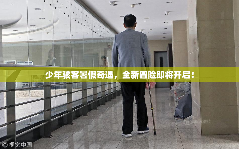 少年骇客暑假奇遇，全新冒险即将开启！
