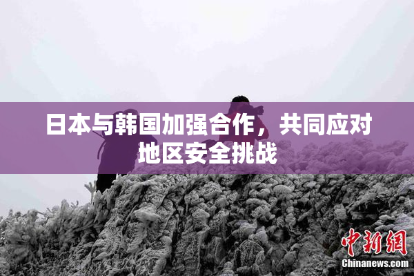 日本与韩国加强合作，共同应对地区安全挑战