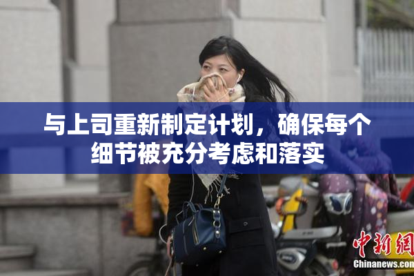 与上司重新制定计划，确保每个细节被充分考虑和落实