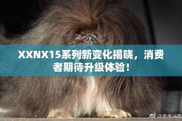 XXNX15系列新变化揭晓，消费者期待升级体验！