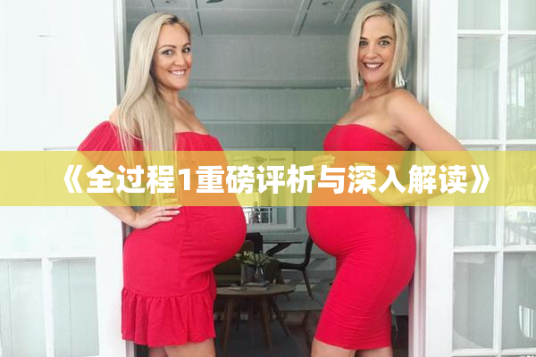 《全过程1重磅评析与深入解读》