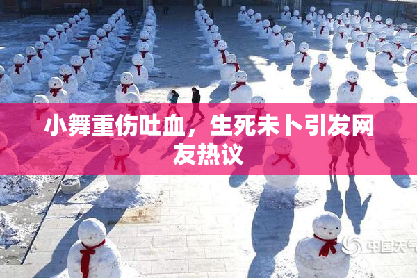 小舞重伤吐血，生死未卜引发网友热议
