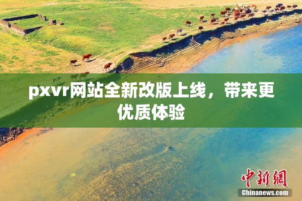 pxvr网站全新改版上线，带来更优质体验