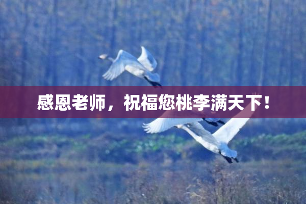 感恩老师，祝福您桃李满天下！