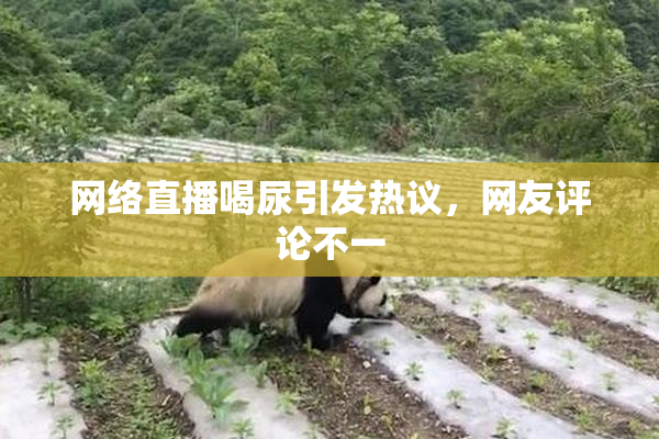 网络直播喝尿引发热议，网友评论不一