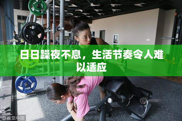 日日躁夜不息，生活节奏令人难以适应