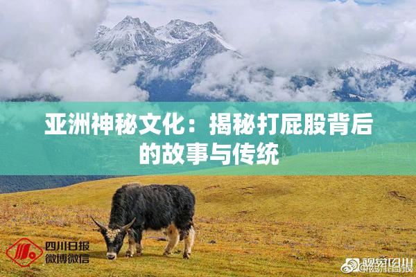 亚洲神秘文化：揭秘打屁股背后的故事与传统