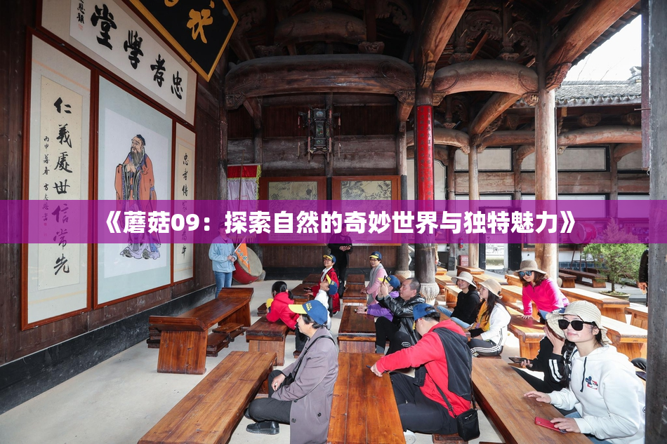 《蘑菇09：探索自然的奇妙世界与独特魅力》