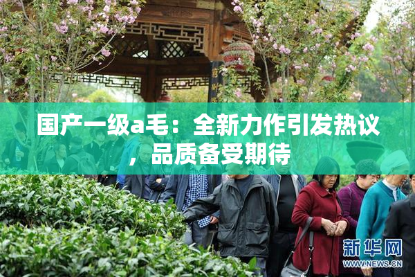 国产一级a毛：全新力作引发热议，品质备受期待