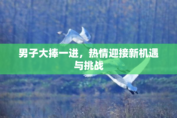 男子大捧一进，热情迎接新机遇与挑战