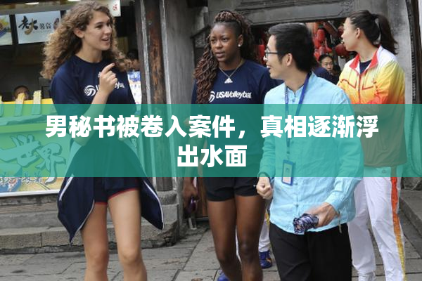 男秘书被卷入案件，真相逐渐浮出水面