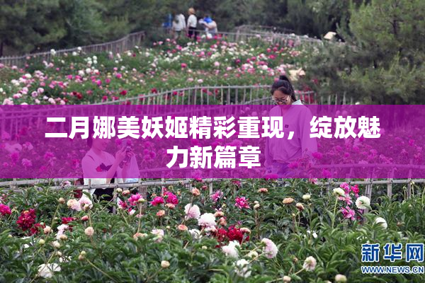 二月娜美妖姬精彩重现，绽放魅力新篇章