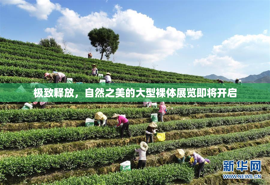 极致释放，自然之美的大型裸体展览即将开启