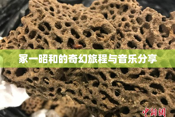 冢一昭和的奇幻旅程与音乐分享