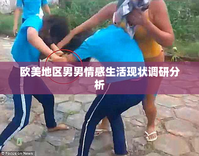 欧美地区男男情感生活现状调研分析